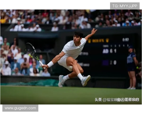 网球巨星赛季回顾：从温网到美网的精彩表现与未来展望